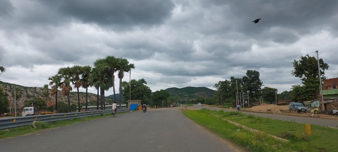 a bird flying over a road