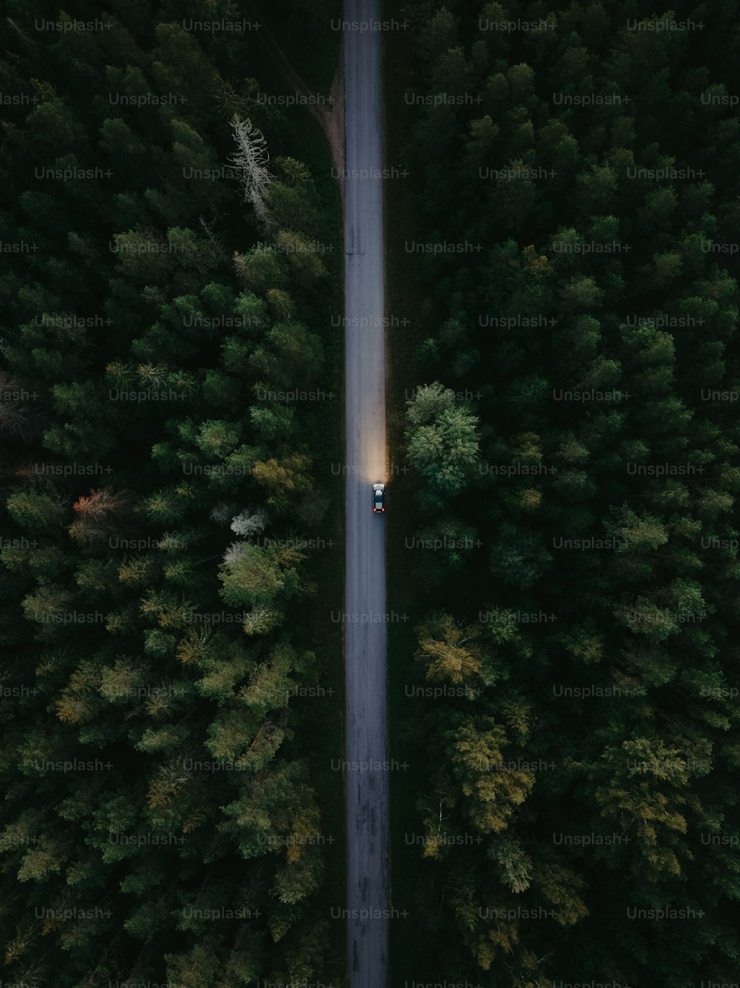 a car driving down a road surrounded by trees