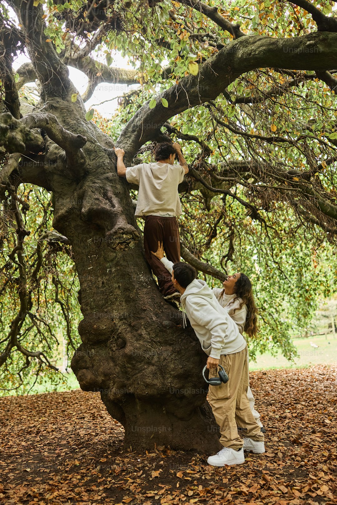 A couple of people climbing up a tree