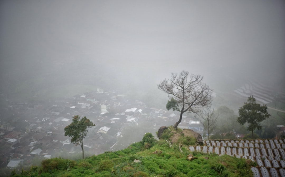 a foggy view of a small town from a hill