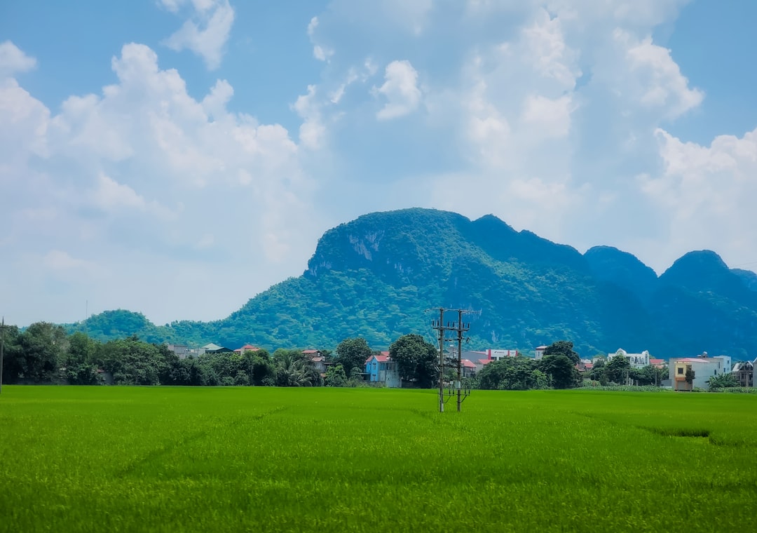 Chiêm bao thấy âm thanh vĩ cầm da diết: Giải mã ý nghĩa về sự đam mê, tình yêu và khả năng thể hiện cảm xúc một cách tinh tế, khám phá những khía cạnh lãng mạn trong tâm hồn bạn