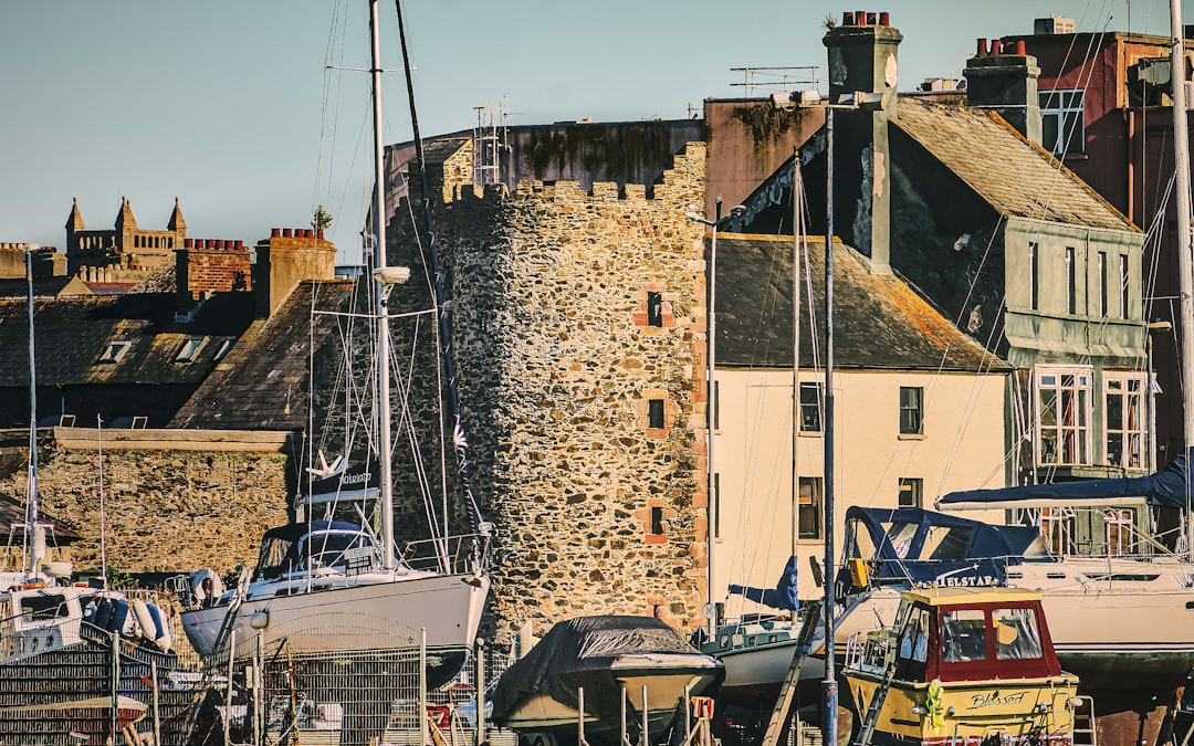 a group of boats sitting in a harbor next to buildings