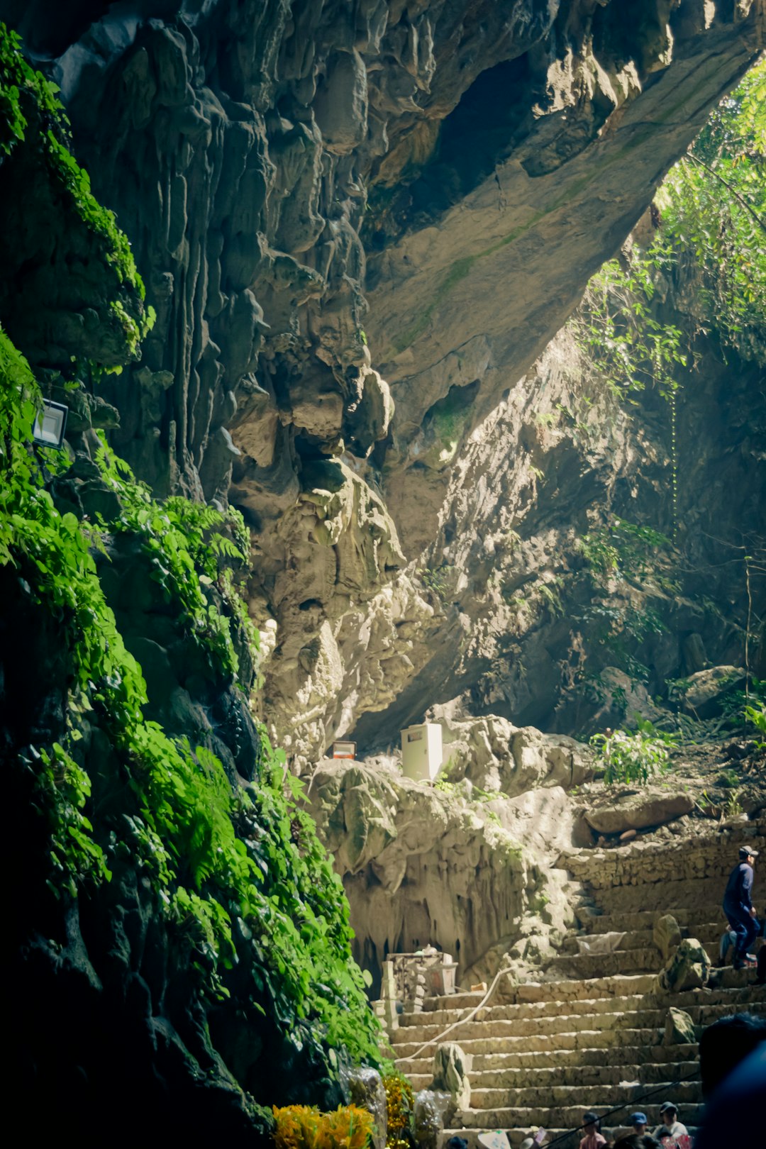 a group of people walking up some steps