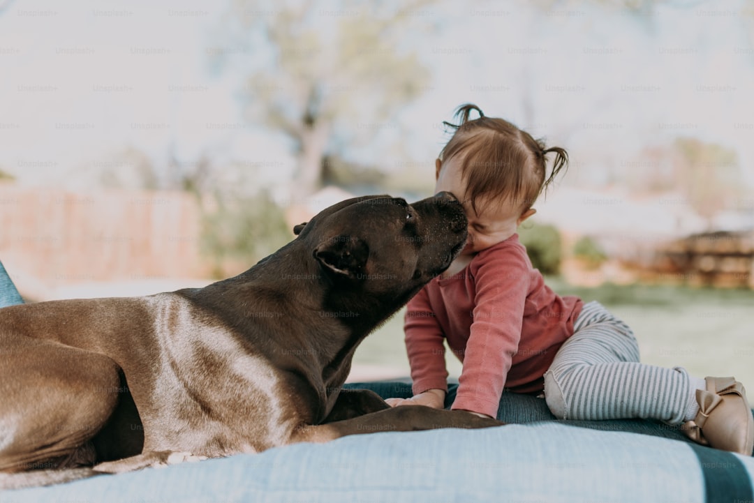 A little girl sitting on a bed kissing a dog