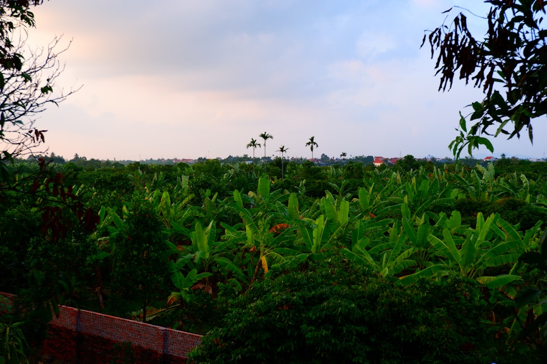 Mơ Thấy Bạn Bè Chia Sẻ Bí Quyết Thành Công Và Cách Để Đạt Được Mục Tiêu Của Bạn