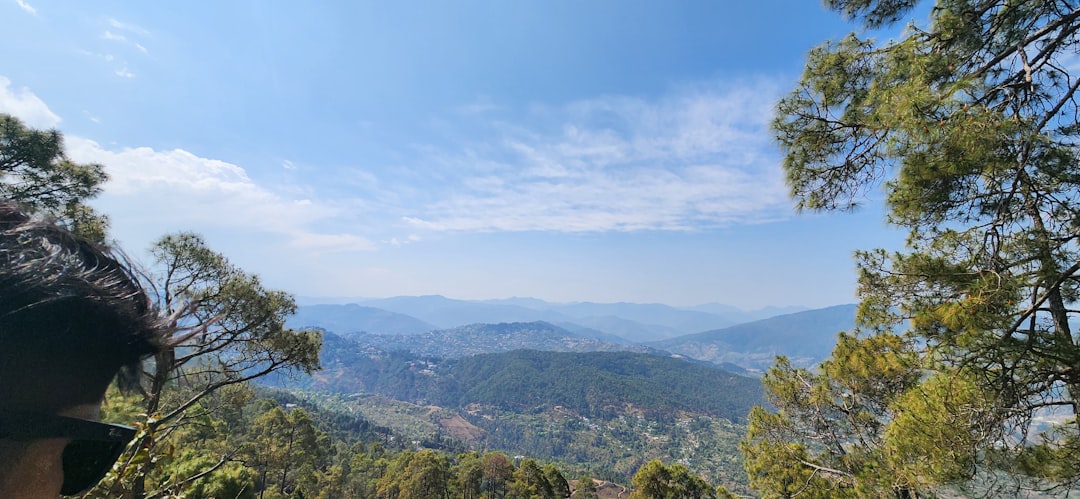 a man standing on top of a lush green hillside