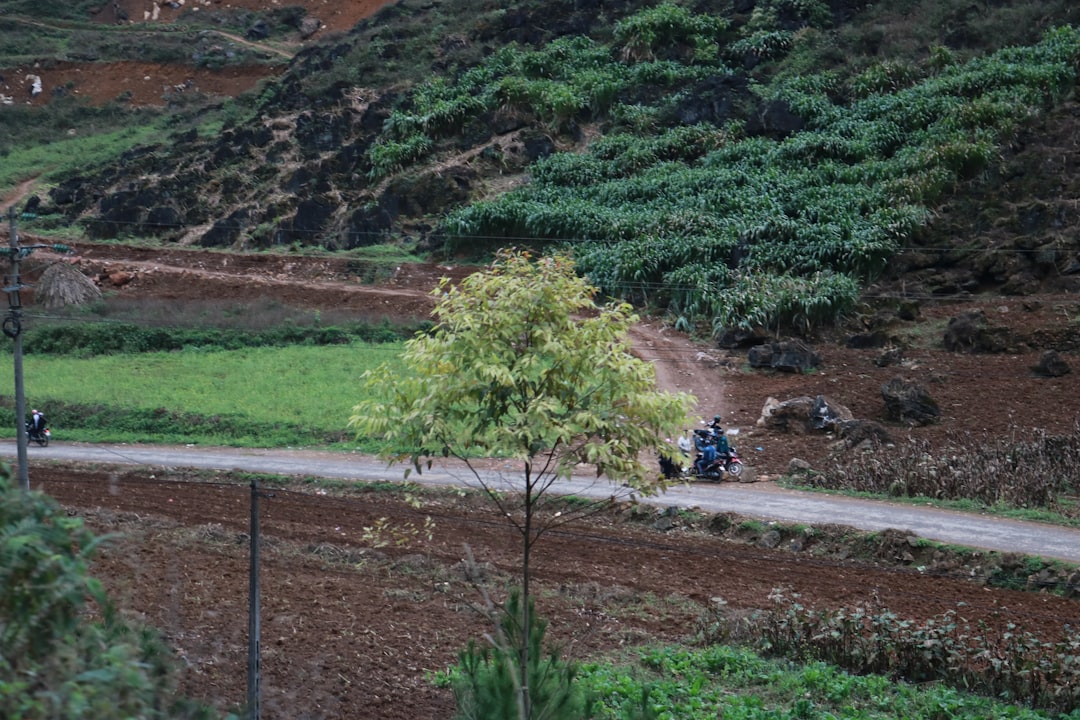 Mơ thấy bạn bè đang cười: Khám phá tình bạn và sự hạnh phúc trong cuộc sống