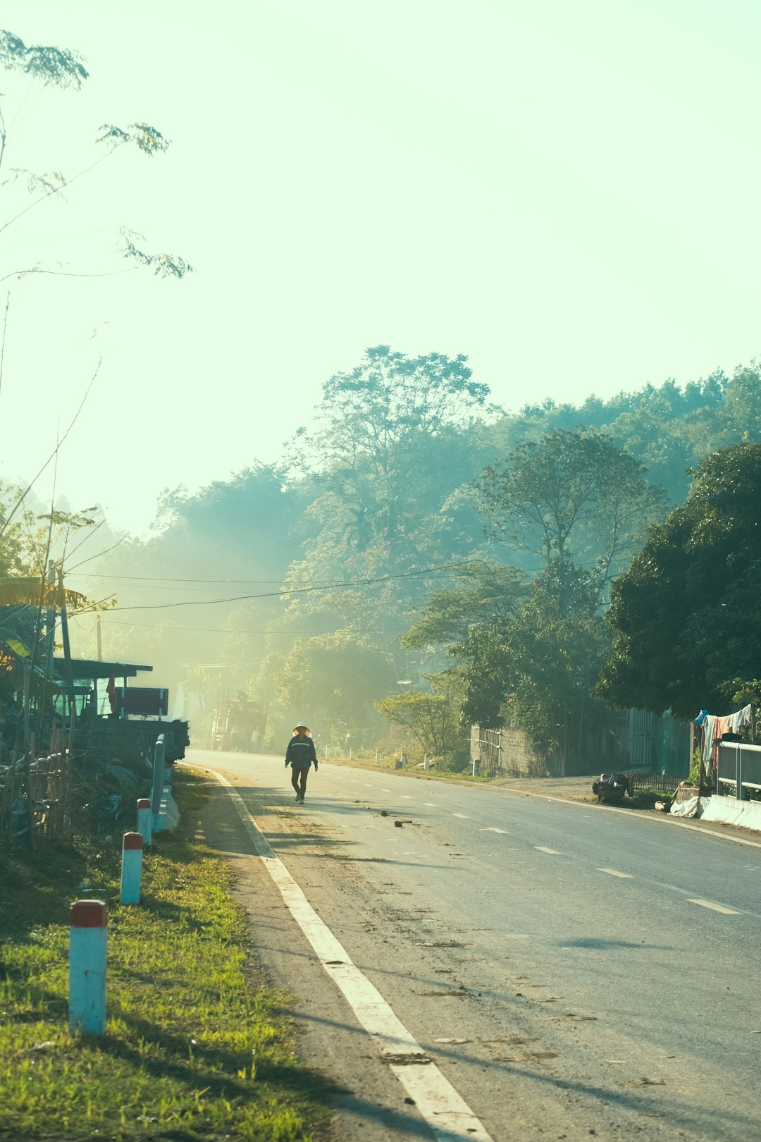 a person walking down a road next to a forest