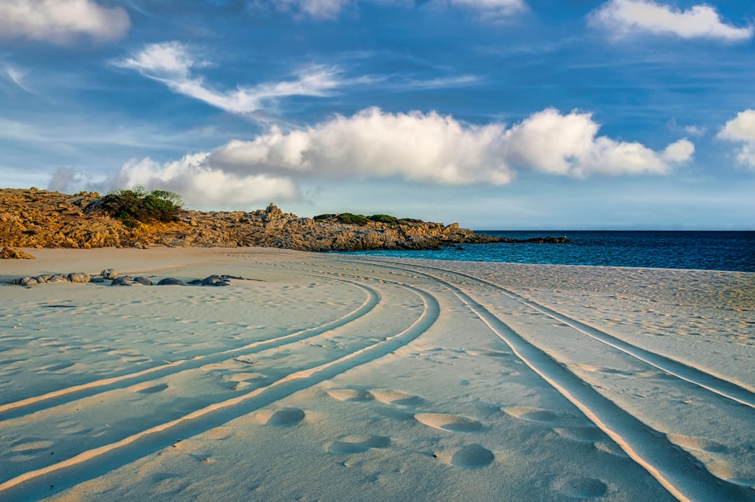 a sandy beach with tracks in the sand