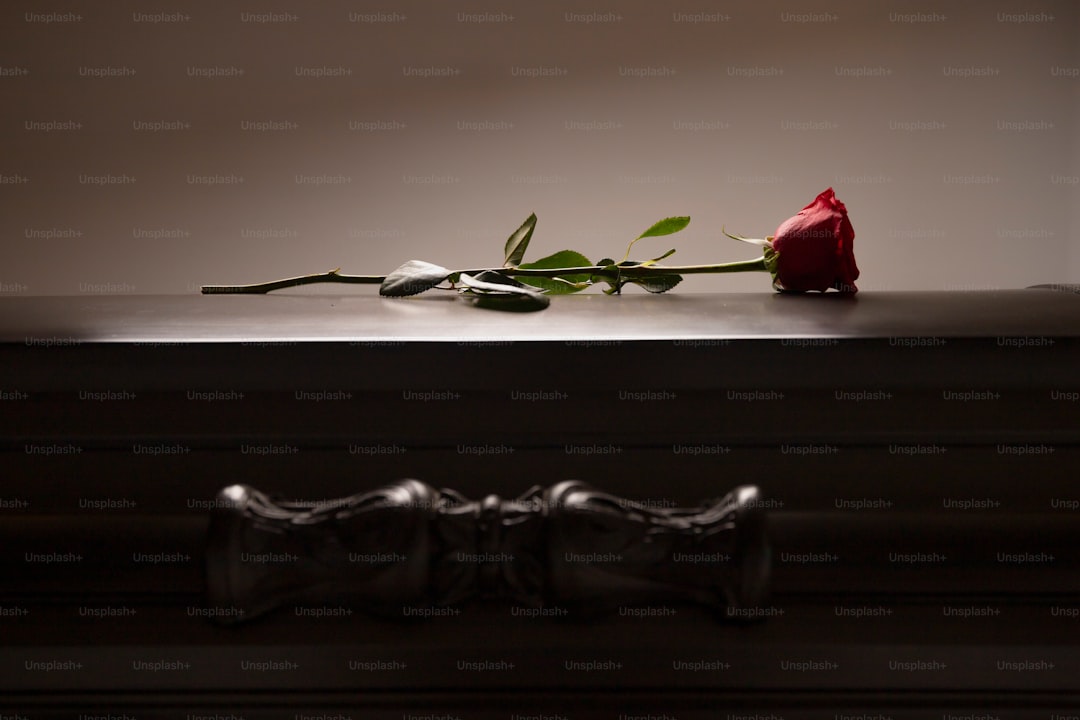 a single rose sitting on top of a table