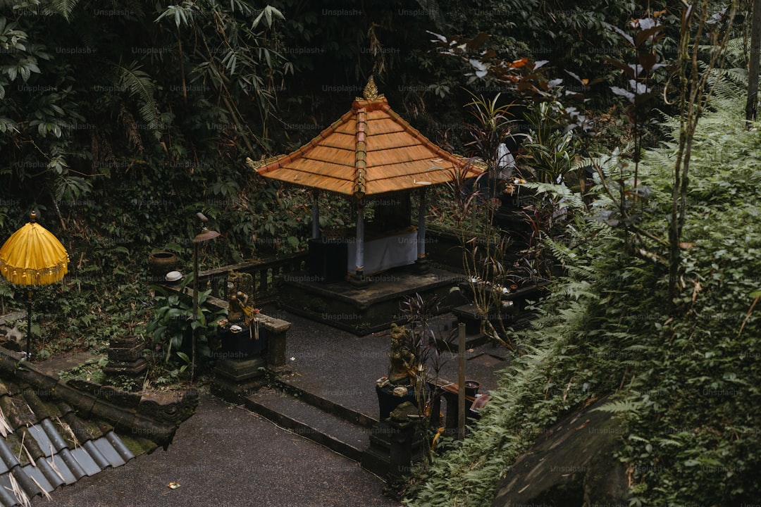 A small wooden structure in the middle of a forest