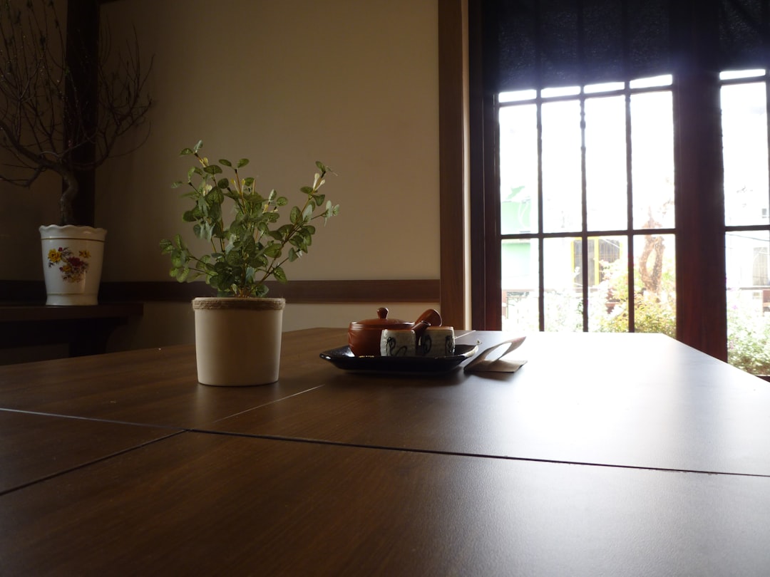 a table with a plate of food and a potted plant