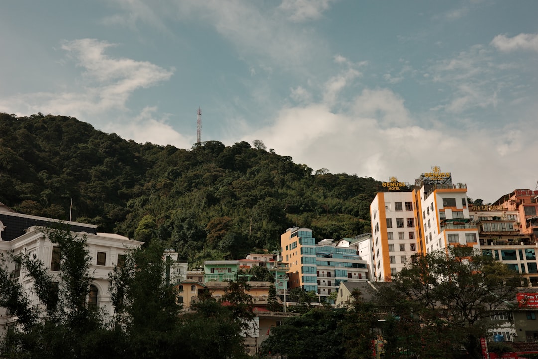 A view of a city with a mountain in the background