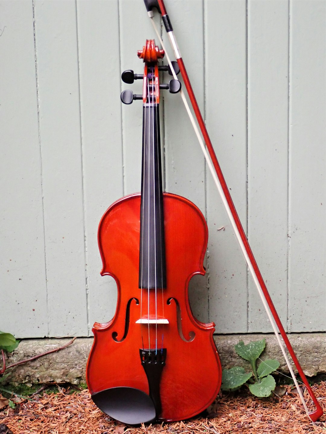 Giải mã giấc mơ cầm cây vĩ kéo violin: Sự tự tin, khéo léo và khả năng điều khiển mọi thứ theo ý muốn, liên hệ với sổ mơ lô đề để biết thêm chi tiết.