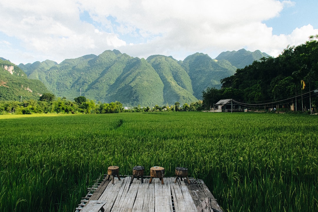 Chiêm bao thấy nghe nhạc cổ điển trong không gian yên bình: Tượng trưng cho sự thanh thản, tĩnh lặng và khả năng tìm thấy sự cân bằng trong cuộc sống