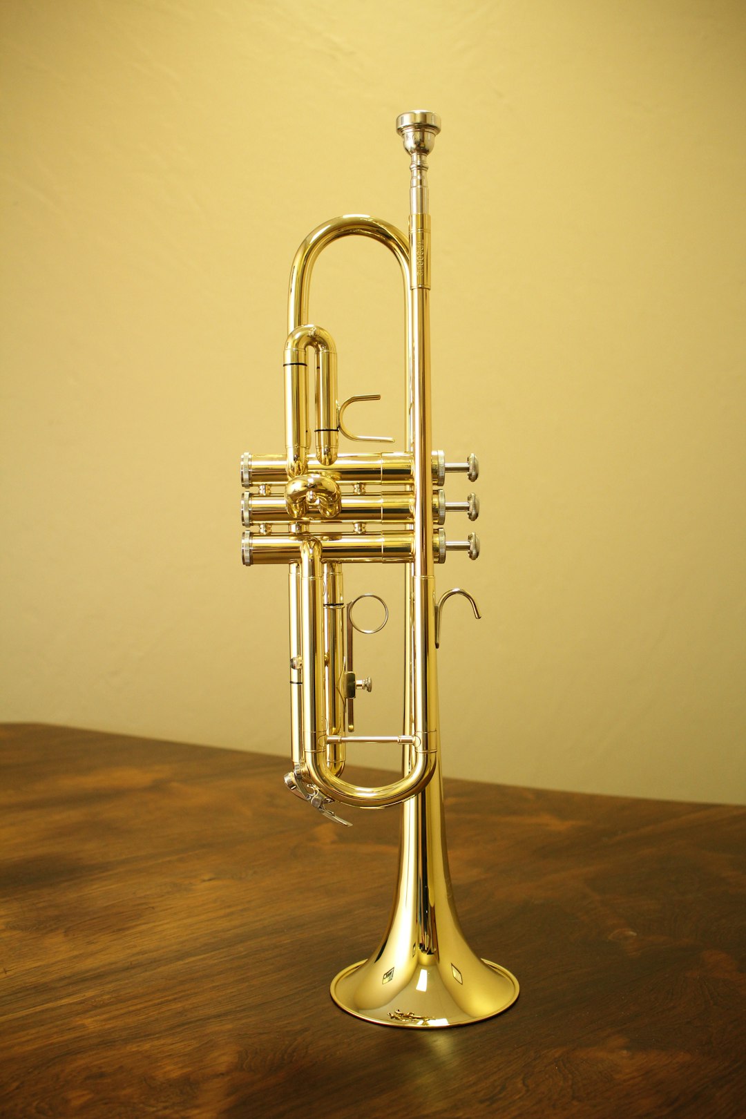 Giải mã giấc mơ thấy kèn trumpet bị tắc:  Bạn đang gặp khó khăn trong việc thể hiện bản thân, cần tự tin hơn để bày tỏ ý kiến và quan điểm của mình