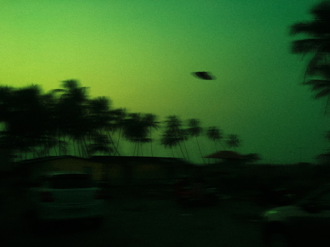 green and black trees under blue sky