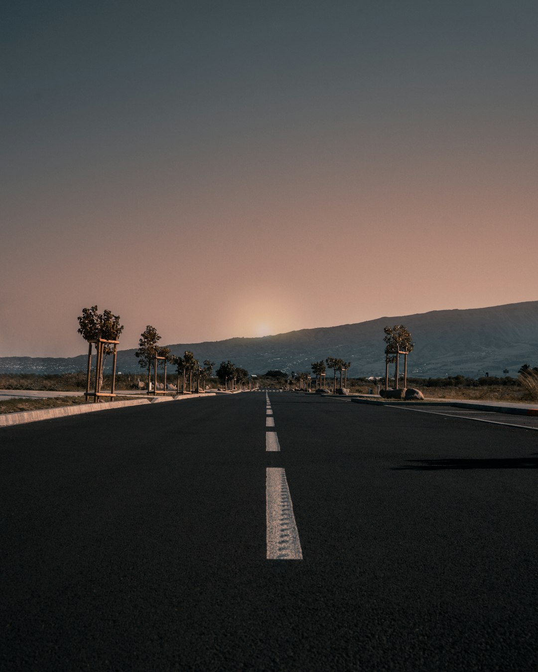 highway between trees during golden hour