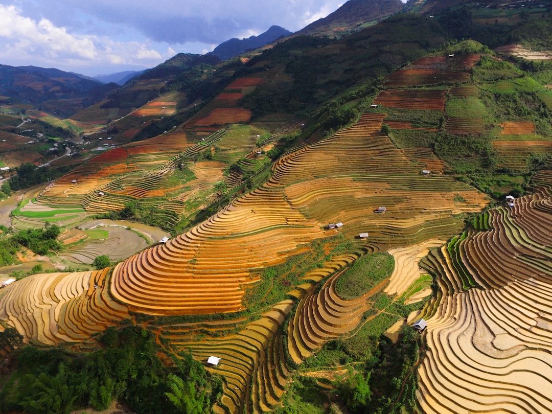 Mơ thấy nhạc chế: Phản ánh sự hài hước, sáng tạo, hoặc mong muốn thể hiện quan điểm cá nhân một cách độc đáo? Giải mã giấc mơ về âm nhạc biến tấu.